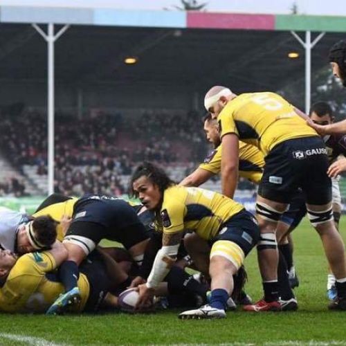 Rugby: S-au aflat adversarii Timișoarei Saracens pentru calificările în Challenge Cup
