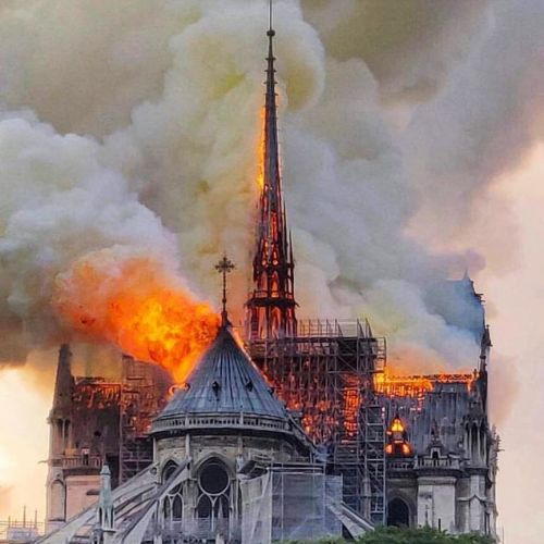 CIO donează jumătate de milion de euro pentru Notre-Dame