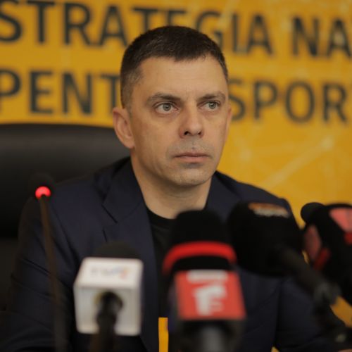 Cluburile departamentale Steaua, Dinamo și Rapid se vor desprinde de stat, promite Ministerul Sportului