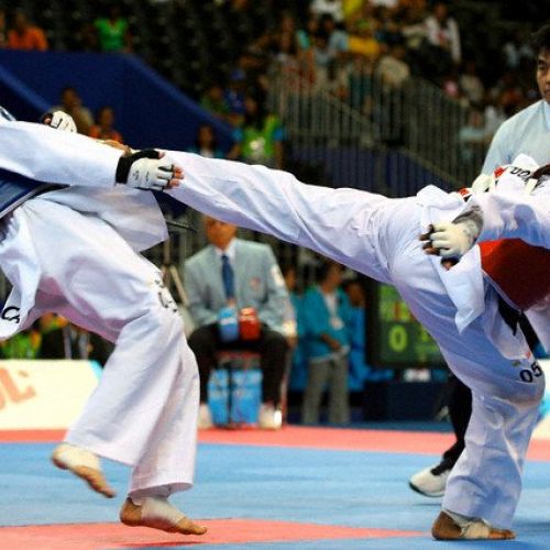 Europeanul de taekwondo WTF la cadeţi şi paralimpici va fi organizat de România, în august